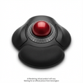 ORBIT WRLS TB W SCROLL RING BLK