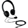 USBC HiFi Head Phones w Mic