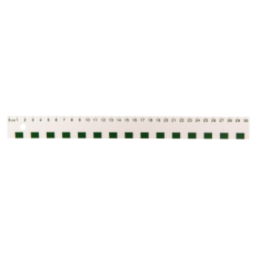 30cm White Plastic Ruler / 
R?gle blanche en plastique de 30 cm (cm)