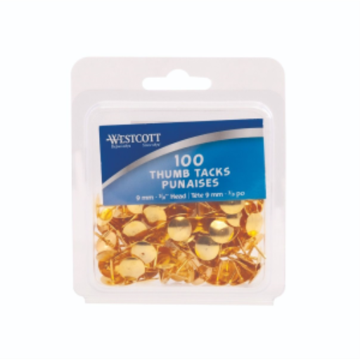 Brass Thumb Tacks 100/Clamshell / 
Punaises laitonn?es, 100 par coquille