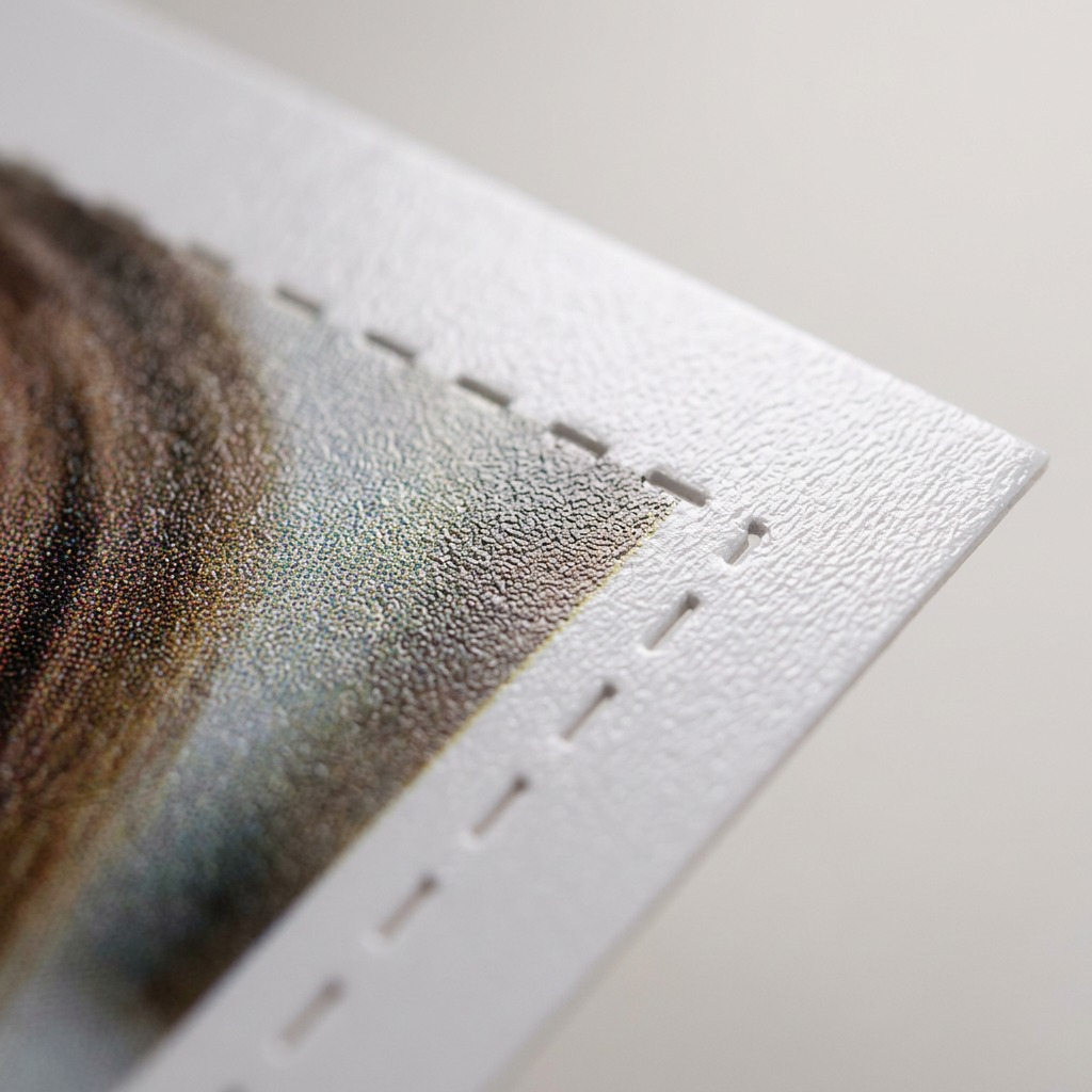 Macro view of postcard paper micro-porous glossy finish and micro-perforations.