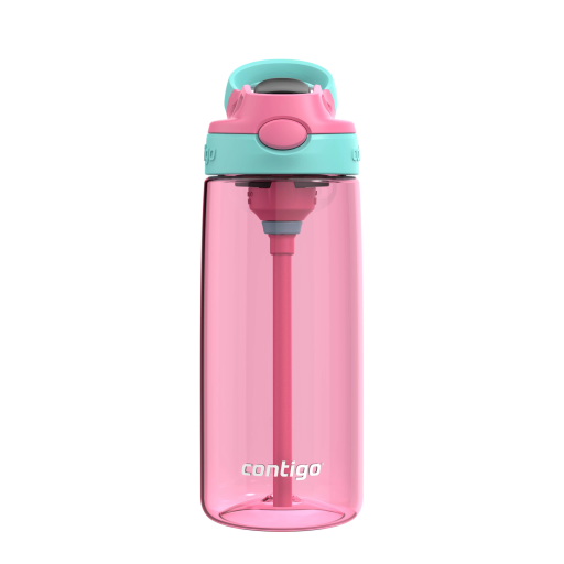 Contigo 20 oz Autospout Azalea w/ Jade Vine - Plastic
